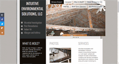 Desktop Screenshot of intuitiveenvsol.com
