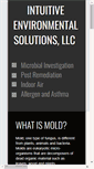 Mobile Screenshot of intuitiveenvsol.com