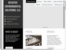 Tablet Screenshot of intuitiveenvsol.com